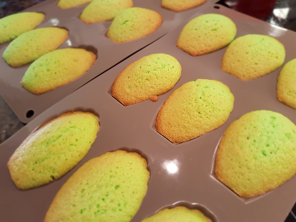 Pandan Madeleines frisch aus dem Ofen