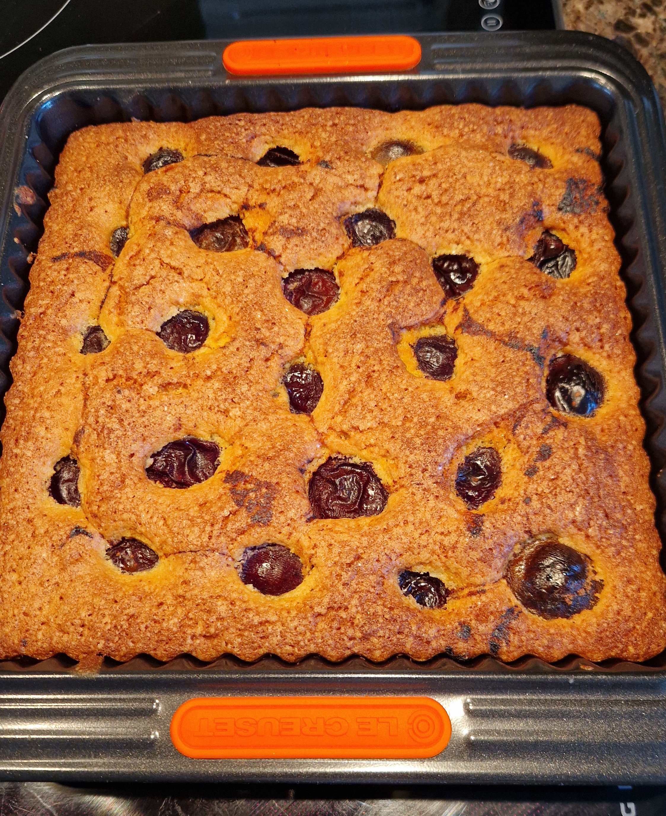 Plum Tart 2026